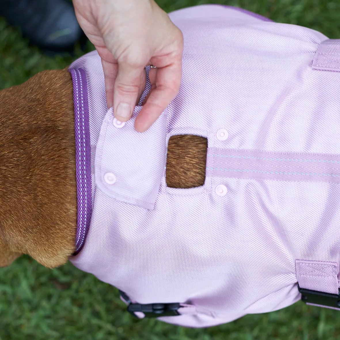 Eco Adventure Dog Coat - Quartz