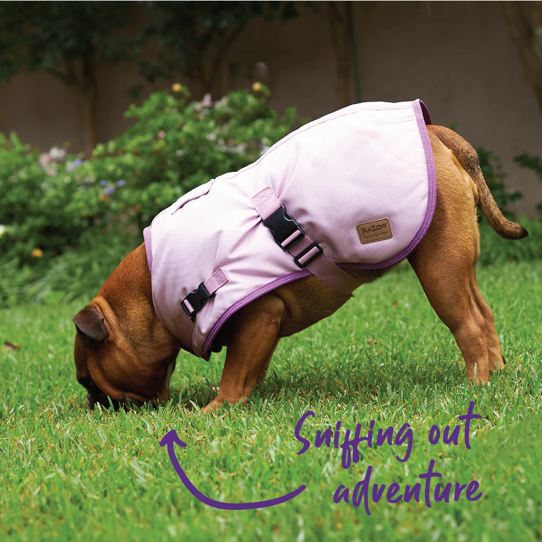 Eco Adventure Dog Coat - Quartz