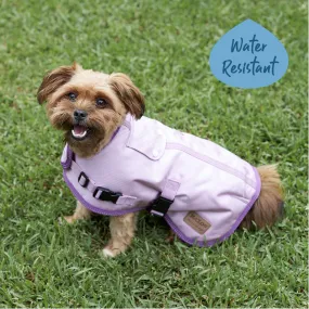 Eco Adventure Dog Coat - Quartz