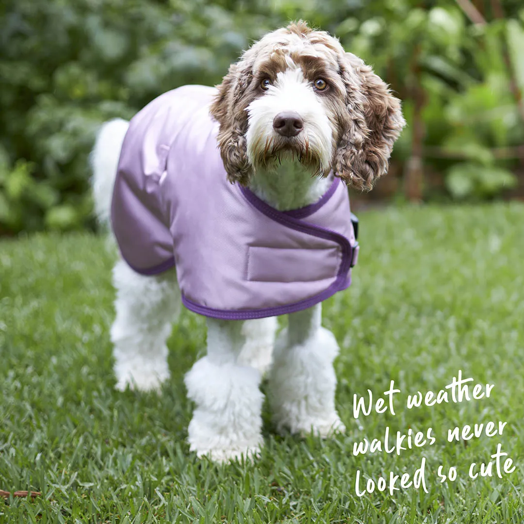 Eco Adventure Dog Coat - Quartz