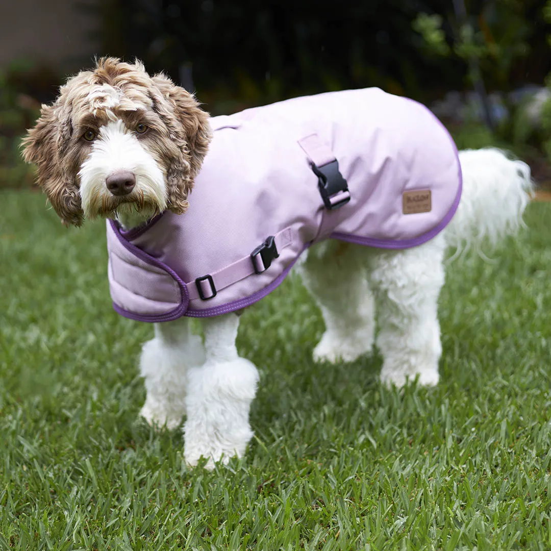 Eco Adventure Dog Coat - Quartz